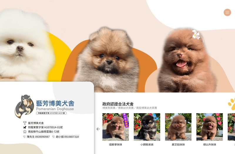 藝芳博美犬舍WEB